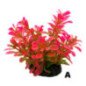AMTRA PIANTA 8CM IN PLASTICA