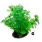 AMTRA PIANTA 8CM IN PLASTICA