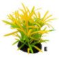 AMTRA PIANTA 8CM IN PLASTICA