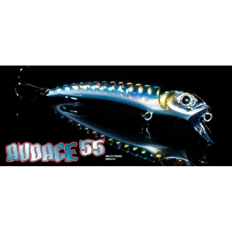 MOLIX AUDACE 55 SINKING