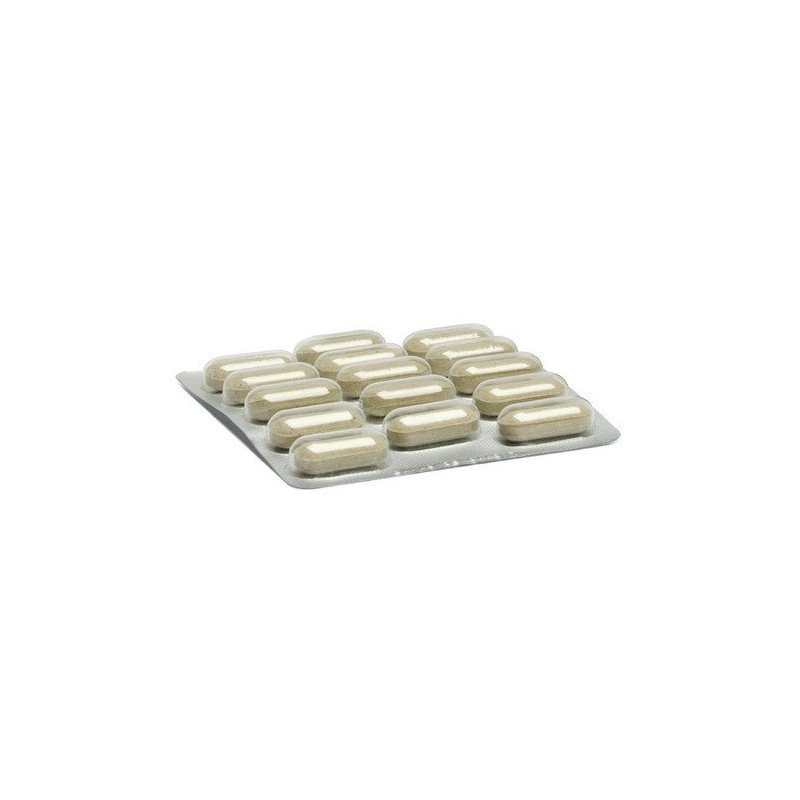 CAMON AEQUILIBRIAVET COMPRESSE CALMANTI E RILASSANTI