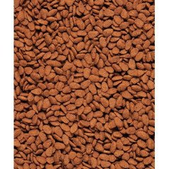 VERSELE LAGA ESTRUSO NUTRIBIRD G18 ORIGINAL 10KG