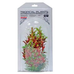 AMTRA PIANTA DECORATIVA 22-25CM COLORI ASSORTITI