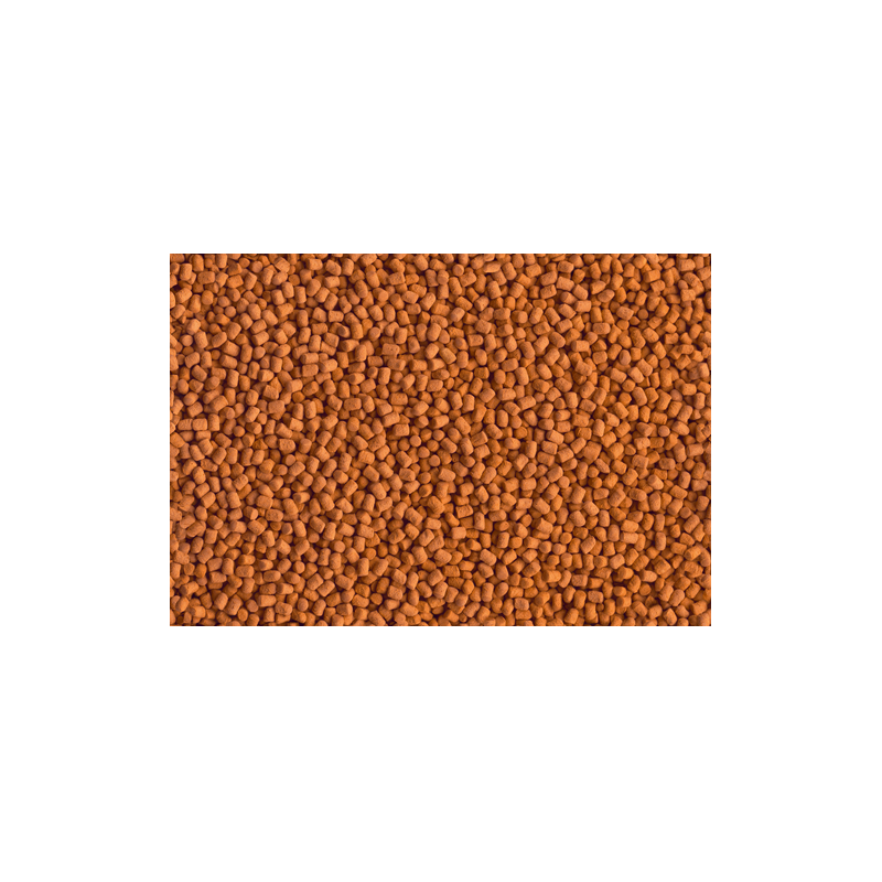 TETRA REPTOMIN ENERGY