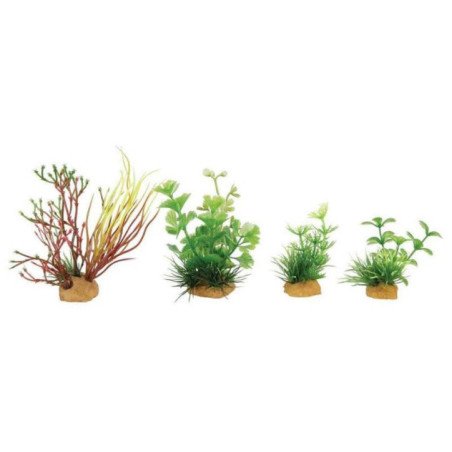 ZOLUX PLANTKIT MINI X4 MOD2