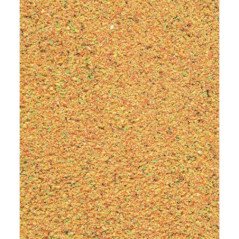 VERSELE ORLUX FRUTTI PATE MORBIDO DA 5KG