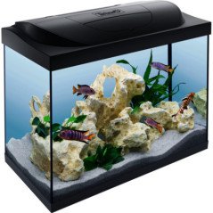 TETRA ACQUARIO STARTER LINE LED NERO 80 LITRI
