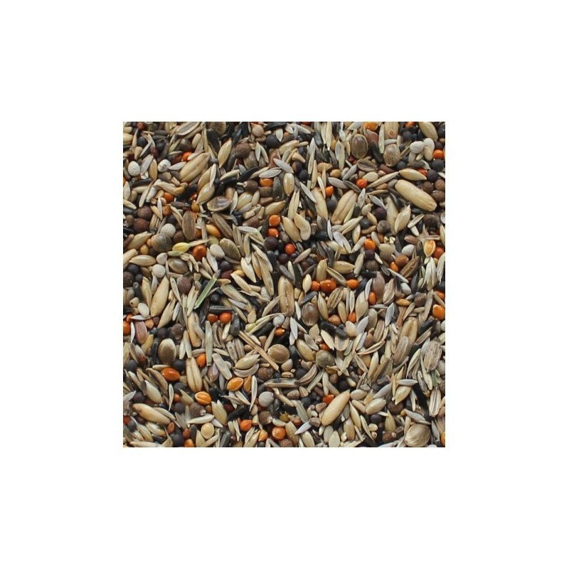 MANITOBA BEST CONDITION 2.5KG