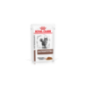 ROYAL CANIN GASTROINTESTINAL GATTO 85GR