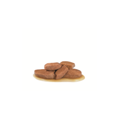 ROYAL CANIN URINARY IN SALSA S/O GRAVY 85GR