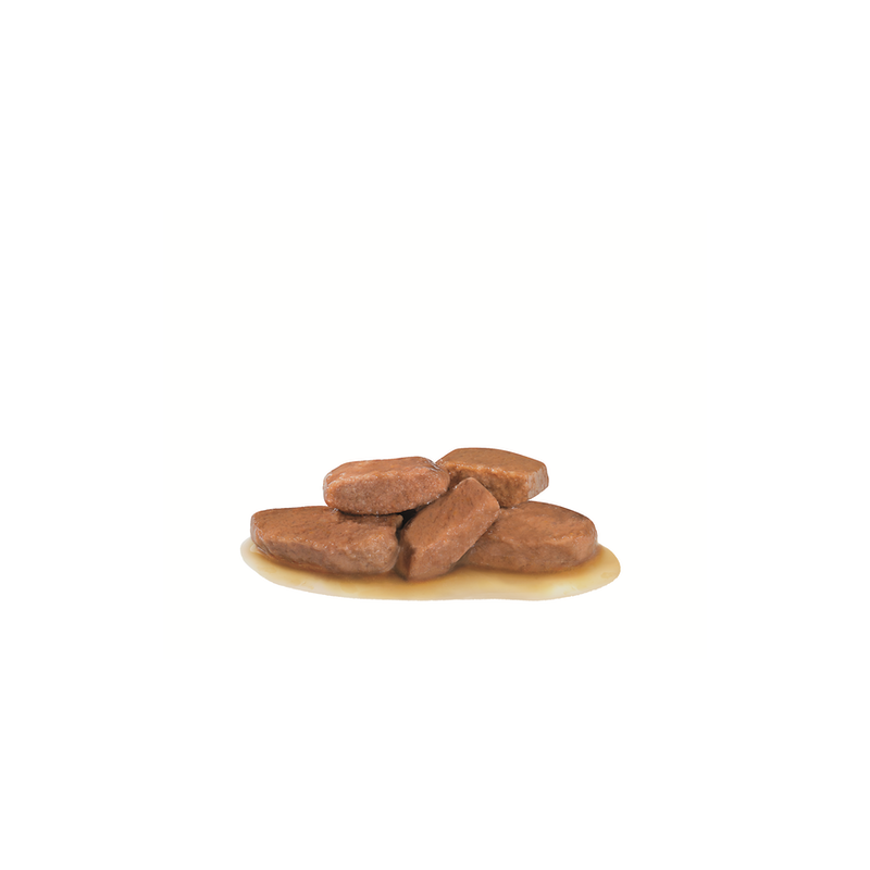 ROYAL CANIN URINARY IN SALSA S/O GRAVY 85GR