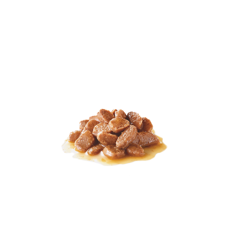 ROYAL CANIN DIGESTIVE CARE IN SALSA 85GR