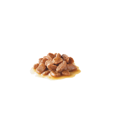 ROYAL CANIN DIGESTIVE CARE IN SALSA 85GR