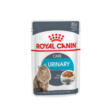 ROYAL CANIN DIGESTIVE CARE IN SALSA 85GR