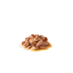 ROYAL CANIN DIGESTIVE CARE IN SALSA 85GR