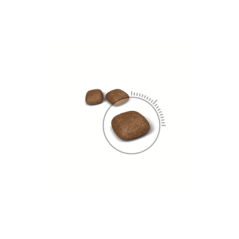 ROYAL CANIN URINARY S/O GATTO