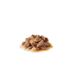 ROYAL CANIN MINI ADULT 85GR