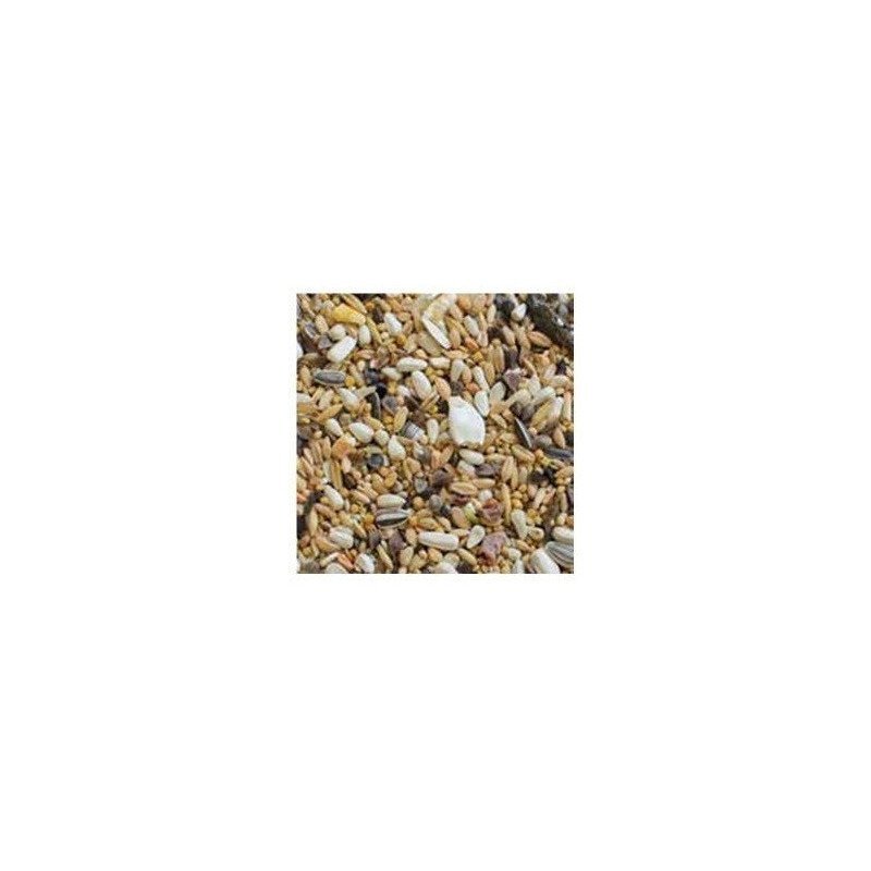 MANITOBA BIG PARAKEETS ENERGY 2KG