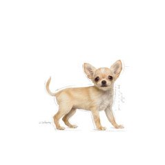 ROYAL CANIN CHIHUAHUA PUPPY 500GR