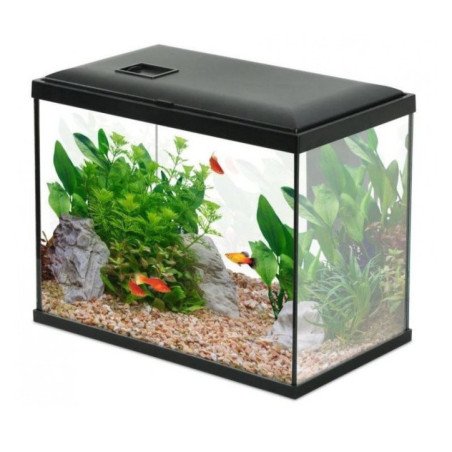 ZOLUX ACQUARIO INITIO 40 DA 24LT