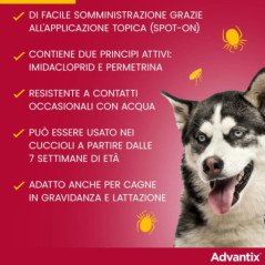 ELANCO ADVANTIX DA 25KG A 40KG ANTIPARASSITARIO PER CANI