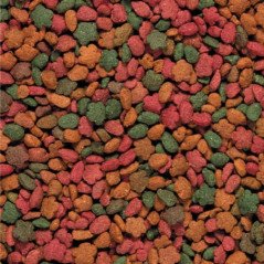 VERSALE LEGA ESTRUSO NUTRIBIRD G14 TROPICAL 10KG