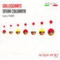 AQS GALLEGGIANTE SFERA COLORATA
