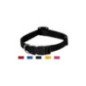 COLLARE NYLON REGOLABILE DA 10mm