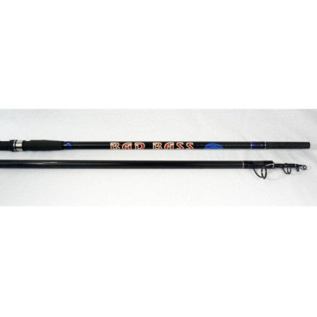CANNA SURF CASTING BAD BASS NEW CONCEPT 175gr 4.25mt