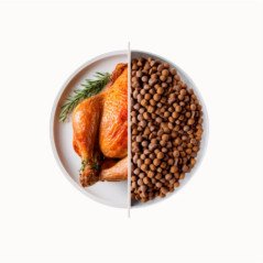 DAGEL TOP CAT CHICKEN AL POLLO HAIRBALL 20KG
