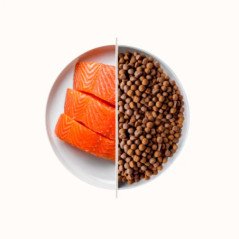 DAGEL TOP SALMON MANTENIMENTO AL SALMONE 20KG