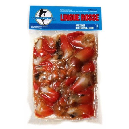 ESCA LINGUE ROSSE TECNOESCA