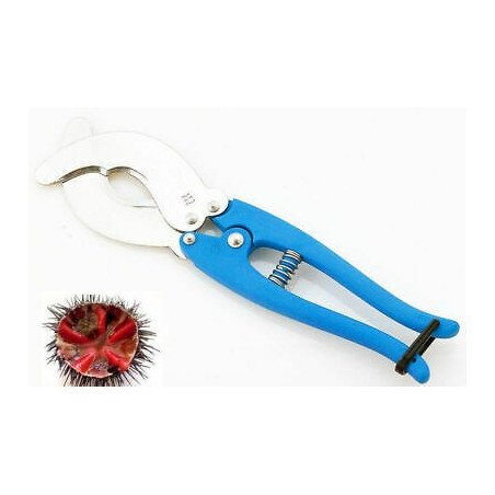 EXPERT FORBICE TAGLIARICCI INOX