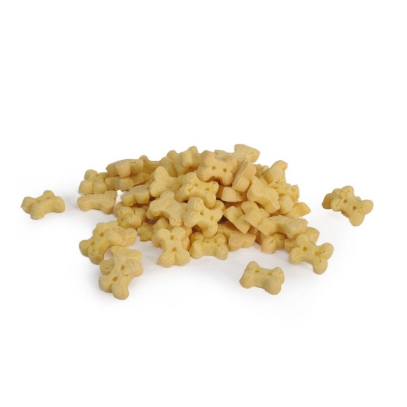 CAMON BISCOTTI OSSICINO ALLA MELA 300GR
