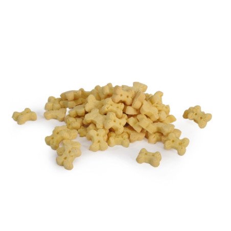 CAMON BISCOTTI OSSICINO ALLA MELA 300GR