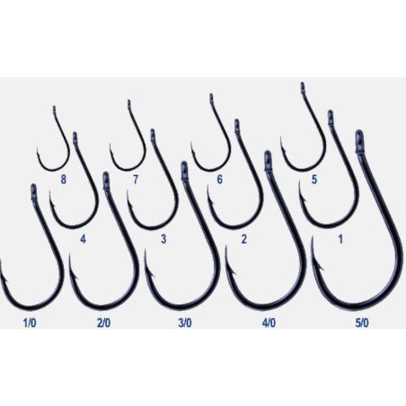 BKK AMI CHINU-R SHARK A