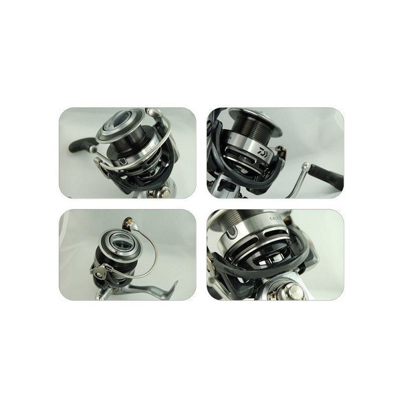DAIWA MULINELLO LT CALDIA