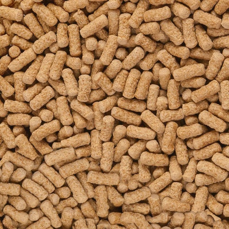 SERA RAFFY MINERAL PER TARTARUGHE