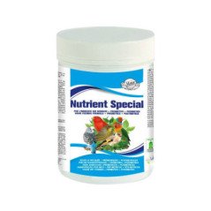MAIOR NUTRIENT SPECIAL 250 GR
