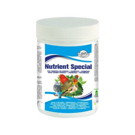 MAIOR NUTRIENT SPECIAL 250 GR