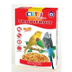 CLIFFI TROPIFRUIT PASTONCINO 300GR
