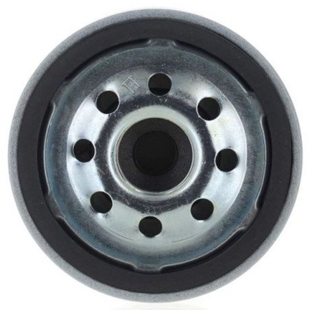 BRP EVINRUDE CARTUCCIA FILTRO CARBURANTE 5012363 ORIGINALE