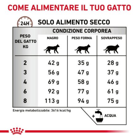 ROYAL CANIN GASTROINTESTINAL HAIRBALL GATTO