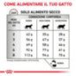 ROYAL CANIN GASTROINTESTINAL HAIRBALL GATTO