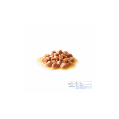 ROYAL CANIN KITTEN BUSTINA IN SALSA PER GATTO 85GR