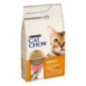PURINA CAT CHOW ADULT SALMONE 1.5KG