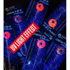 AQS DENTEX PLUS 200GR MONTATO