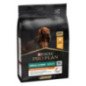PURINA CANE SECCO ADULT SMALL E MINI EVERYDAY NUTRITION POLLO
