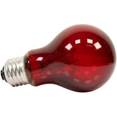 ZOOMED LAMPADA REPTY BULB NIGHTLIGHT 25W