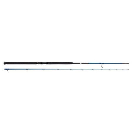 SAVAGE CANNA SG2 SHORE JIGGING MH 30-100 3.05MT